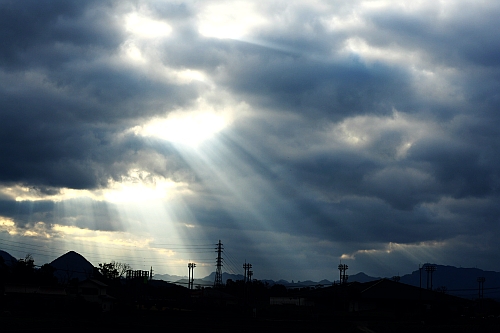 b0003512_12372785.jpg