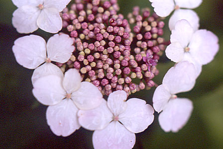 a0018719_233381.jpg