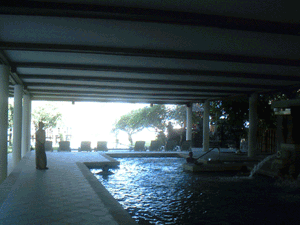 d0038319_11133512.gif