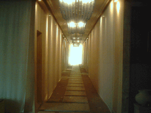 d0038319_111826100.gif