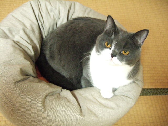 f0032020_1510756.jpg