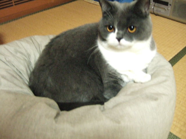 f0032020_15122378.jpg