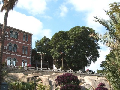 e0047322_2154284.jpg