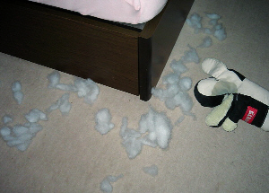 ベッドのコーナー。グレーの絨毯の上に白い綿の塊が幾つも・・・・。犬の上半身の形をしたぬいぐるみ状のものが転がっています。"