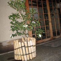 d0033734_14445170.jpg