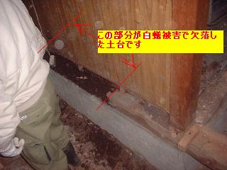 f0031037_20261618.jpg