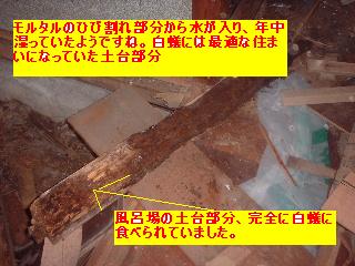 f0031037_2026552.jpg