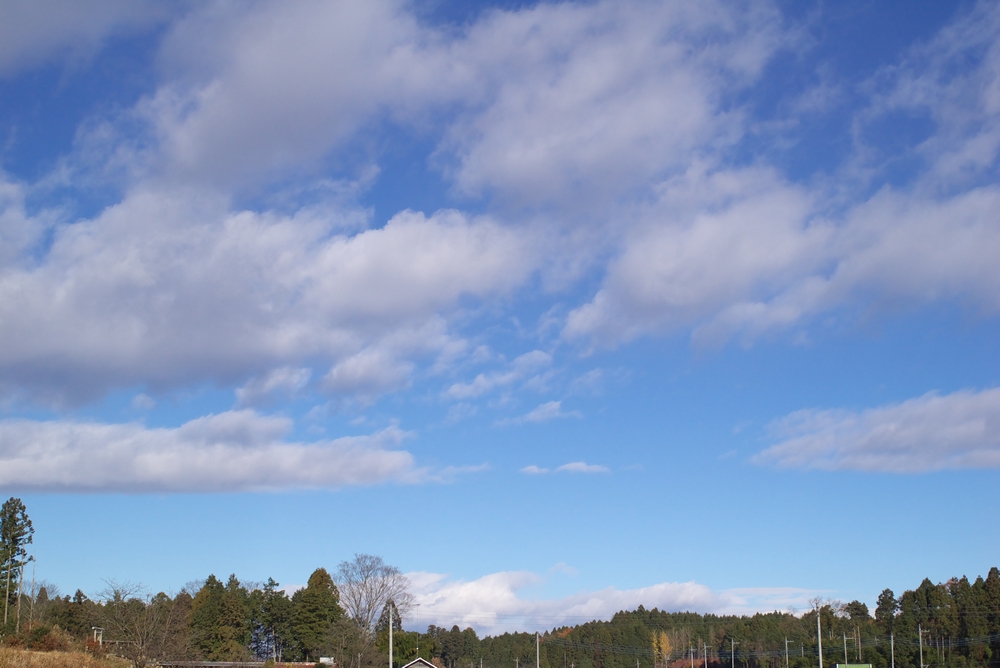 a0034438_11495028.jpg