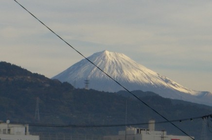 a0036544_841354.jpg