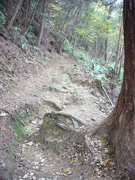 c0057946_18493222.jpg