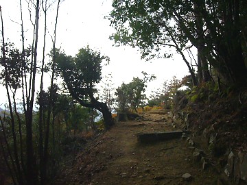 c0057946_18502795.jpg