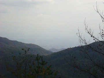 c0057946_1852847.jpg