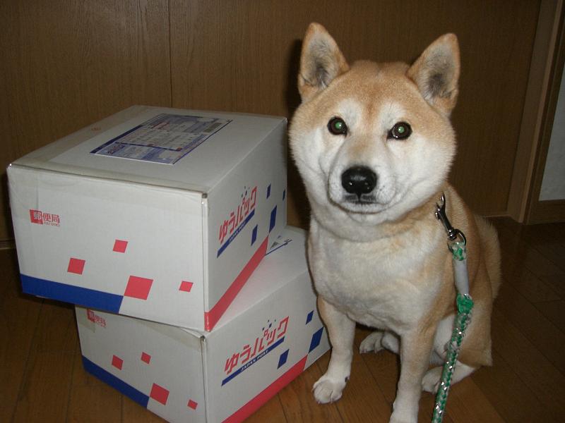 f0099148_1747823.jpg
