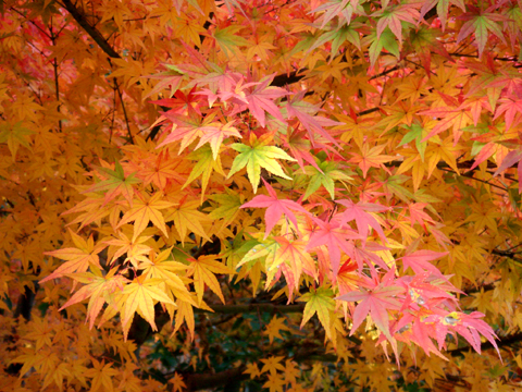 a0024250_23281438.jpg