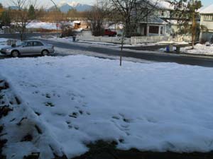 b0090654_10213795.jpg