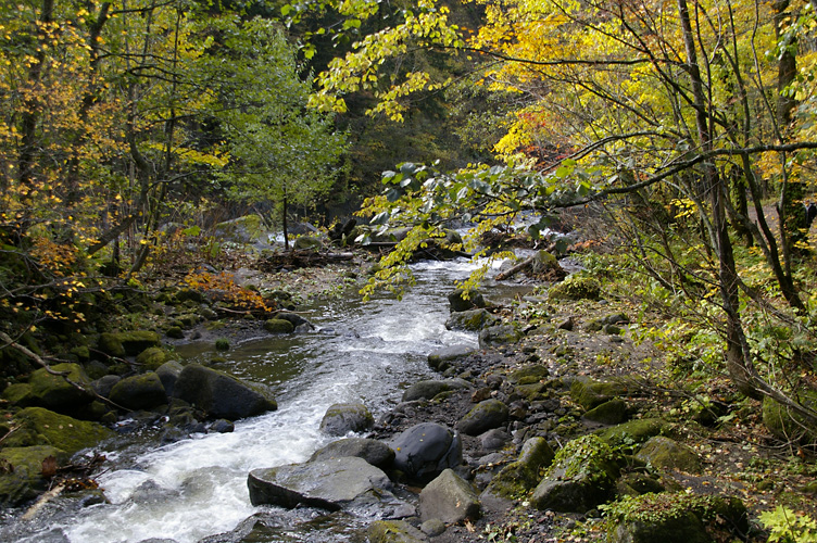d0100156_23534572.jpg