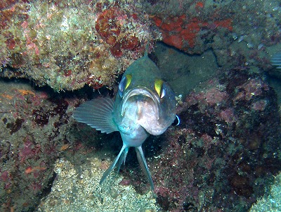 a0079659_8323867.jpg