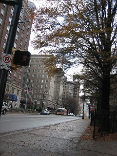 e0015270_6541314.jpg