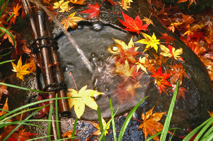 e0002371_1052284.jpg