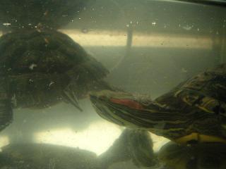 c0104774_17201262.jpg