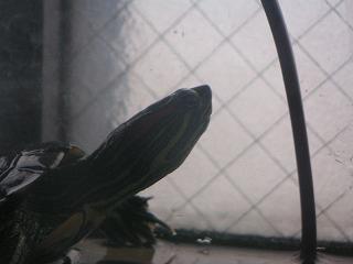 c0104774_17202426.jpg