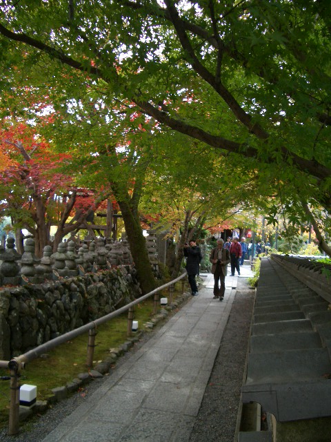 f0089079_553332.jpg