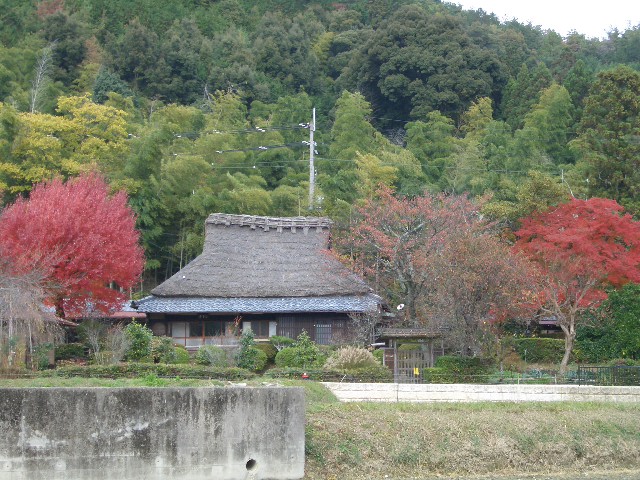 f0089079_6144522.jpg