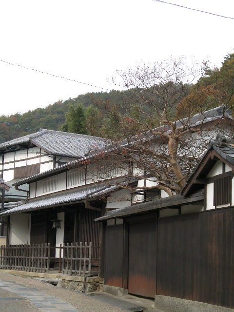 f0089079_6152630.jpg