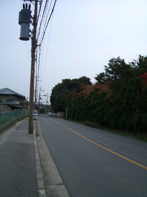 f0089079_6161043.jpg