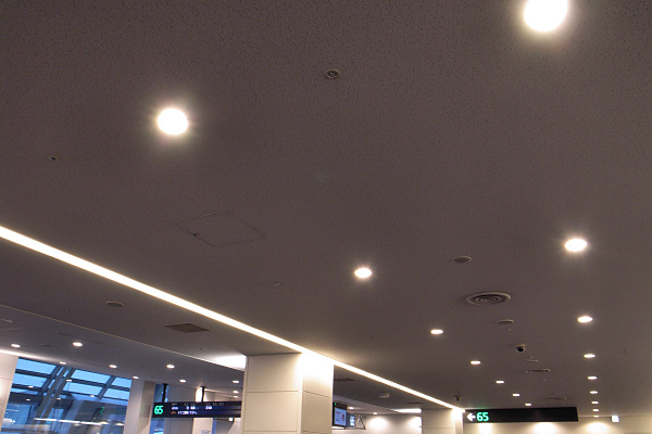 e0051186_2042406.jpg