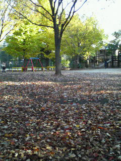 f0108399_131468.jpg