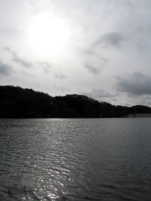 e0041606_23424283.jpg
