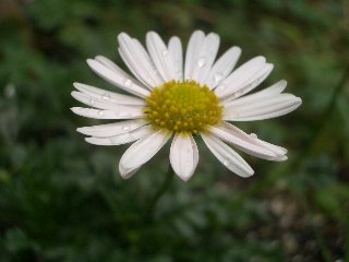 b0061107_1157122.jpg