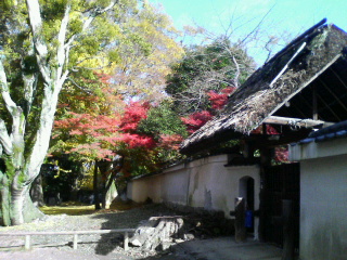 d0000607_1402335.jpg