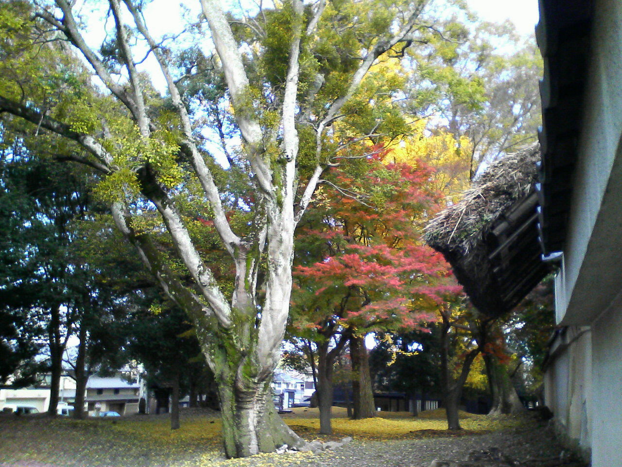 d0000607_147348.jpg