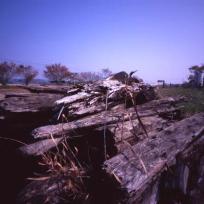 c0016712_16383626.jpg