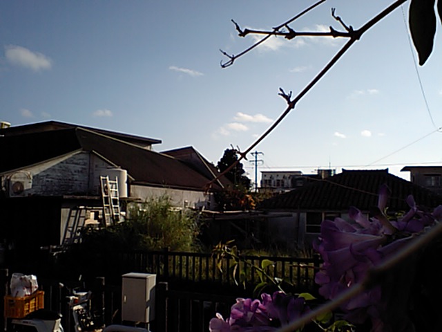 b0089616_1757453.jpg