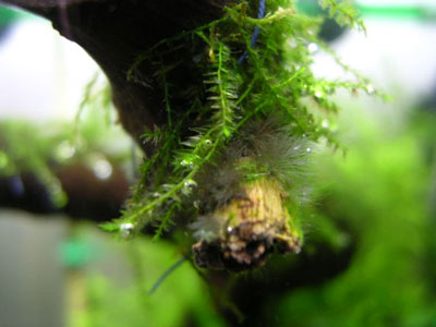 c0095824_22343244.jpg