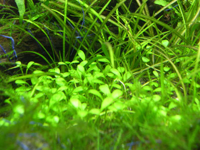 c0095824_2235136.jpg