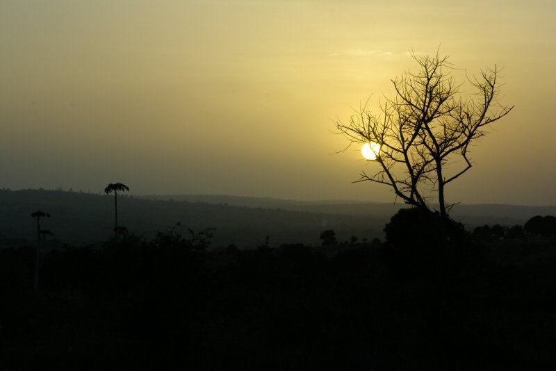 d0032931_21285454.jpg