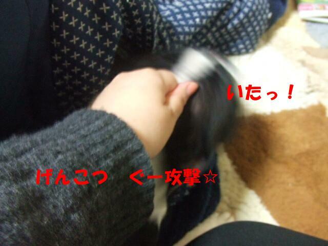 f0059334_1031669.jpg