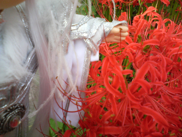 c0100842_2134593.jpg