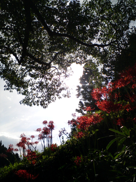 c0100842_2185446.jpg