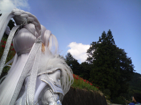 c0100842_274639.jpg