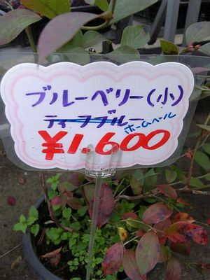 d0022845_20174144.jpg