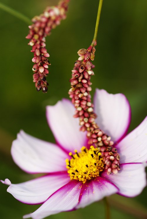 a0003746_17252252.jpg