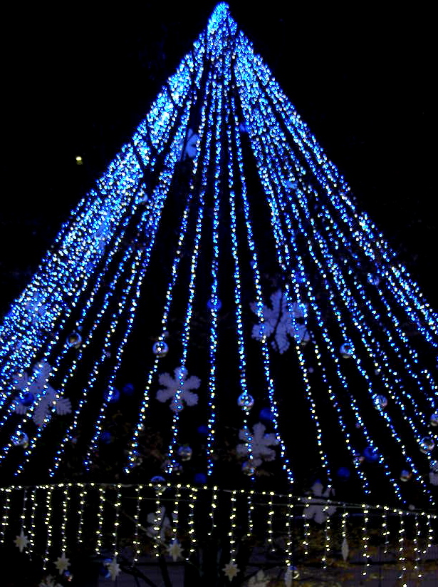 e0064158_292980.jpg