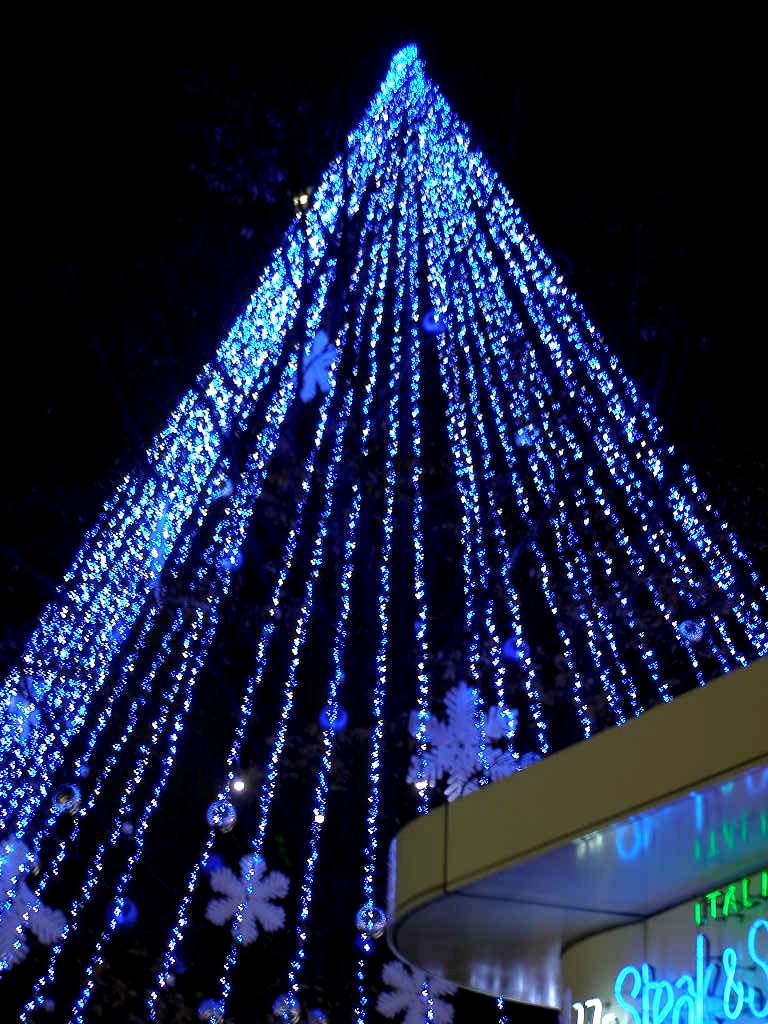 e0064158_294686.jpg