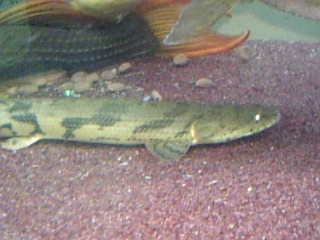f0009758_9494359.jpg