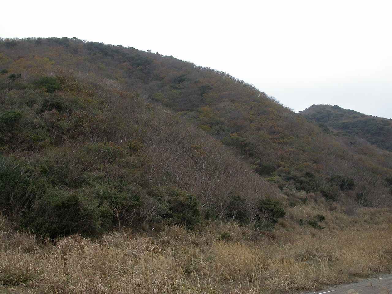 b0104861_23115051.jpg